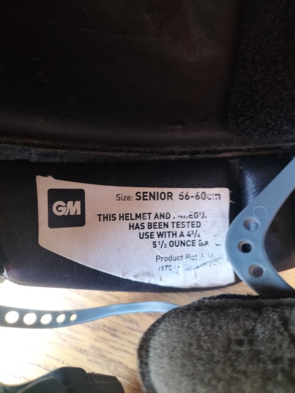 Gunne & Moore Icon Geo Cricket Helmet