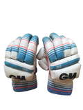 GM 202 Batting Gloves (Boys)