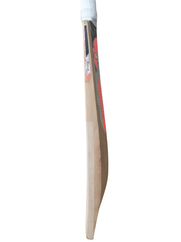 Phantom Illusion Cricket Bat (5)