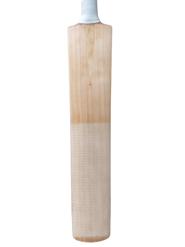 B&S Cricket Bat (SH)