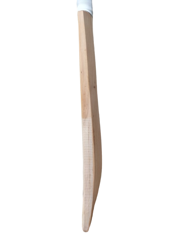 B&S Cricket Bat (SH)