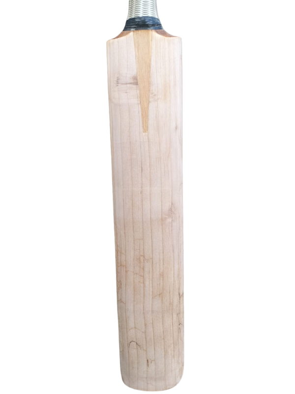 Slazenger V12 Cricket Bat (H)