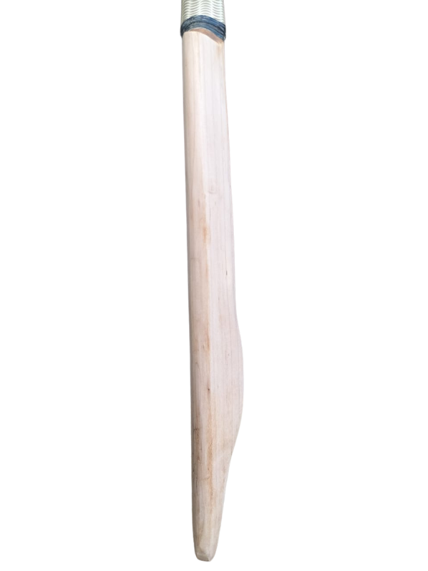 Slazenger V12 Cricket Bat (H)