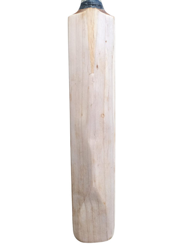 Slazenger V12 Cricket Bat (H)
