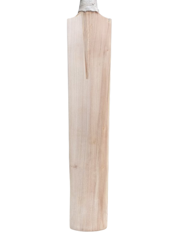 Cricket Bat Other (5)