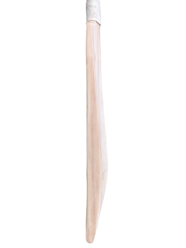 Cricket Bat Other (5)