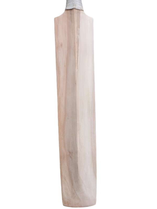 Cricket Bat Other (5)