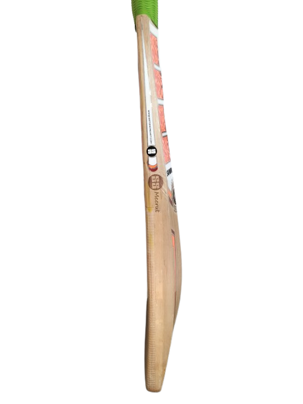 SS Ravindra Jadeja Signature Stallion Sword Cricket Bat (SH)
