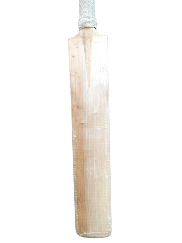 SG Sierra Cricket Bat (SH)