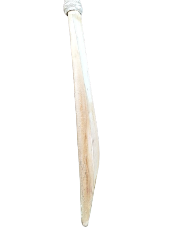 SG Sierra Cricket Bat (SH)