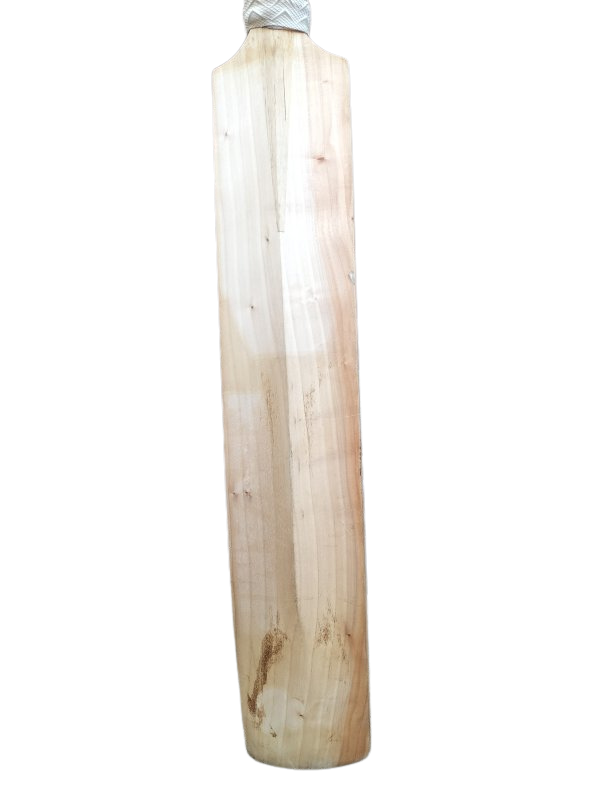 SG Sierra Cricket Bat (SH)