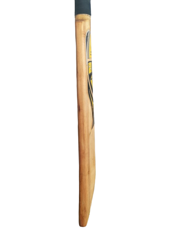 PYZ Gem Cricket Bat (H)