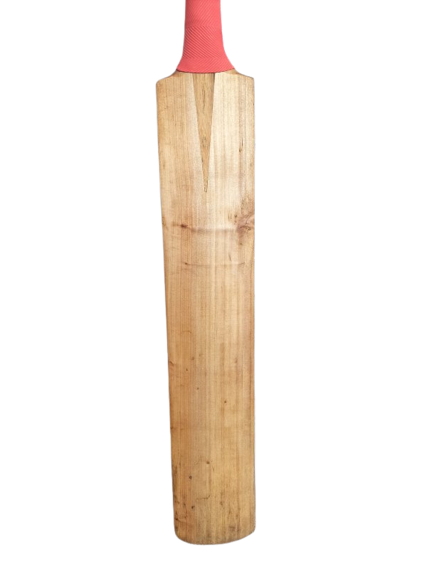 GM Cricket Bat (6)