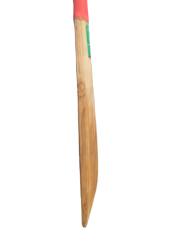 GM Cricket Bat (6)