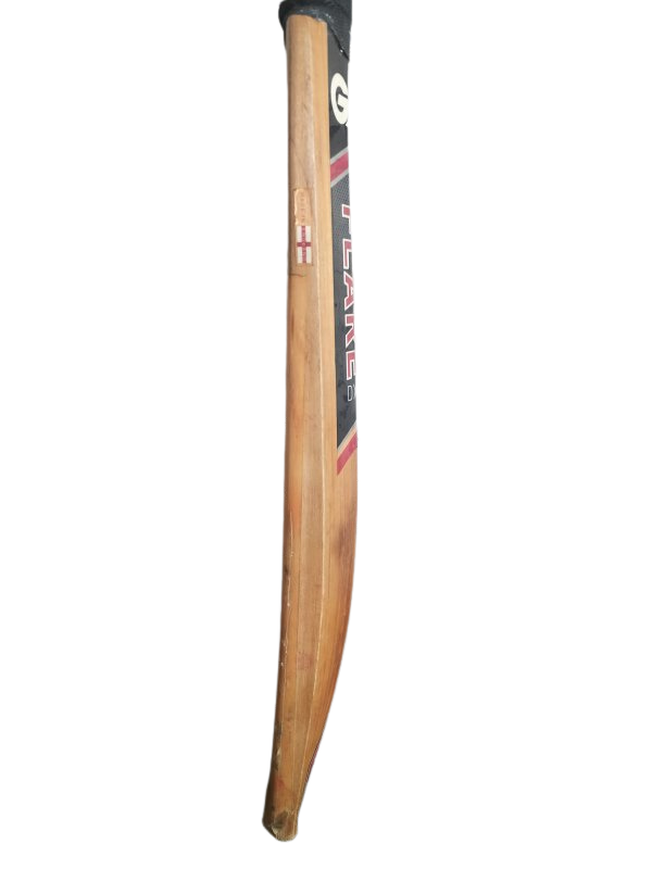 GM Flare DXM Cricket Bat (H)
