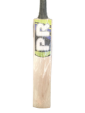 PR Cricket Bat (5)