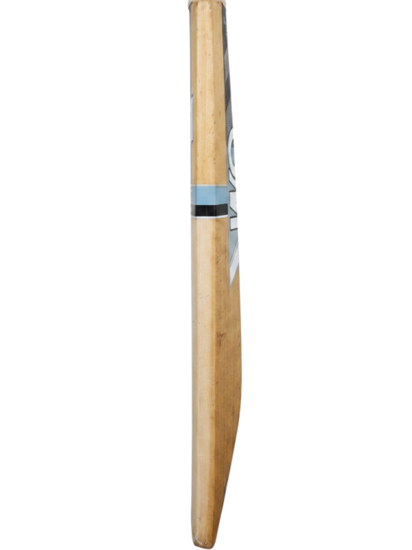 GM Catalyst Contender Cricket Bat (SH)