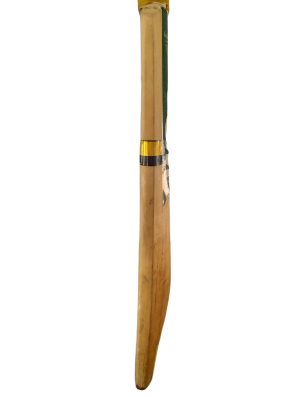 GM Maxi 101 Cricket Bat (6)