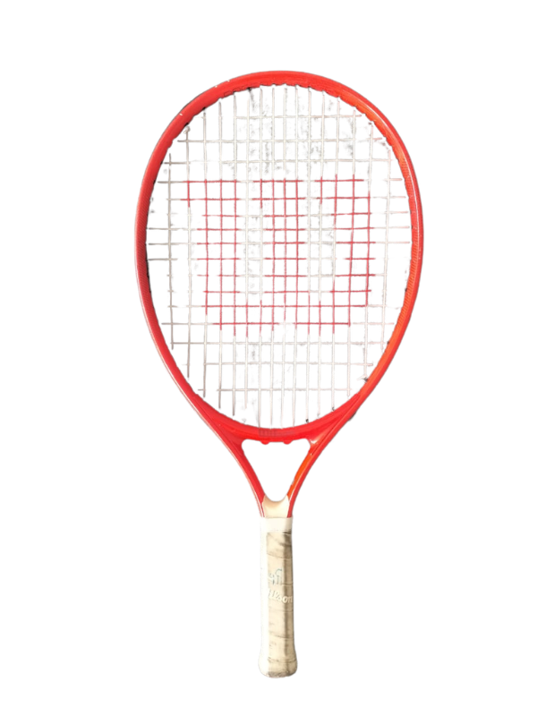 Wilson Roger Federer Tennis Racket (21)