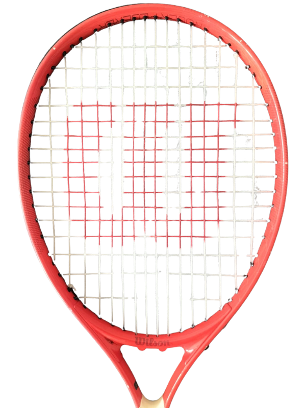 Wilson Roger Federer Tennis Racket (21)
