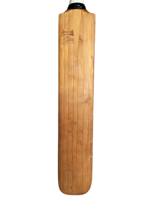 Slazenger V12 Cricket Bat (H)