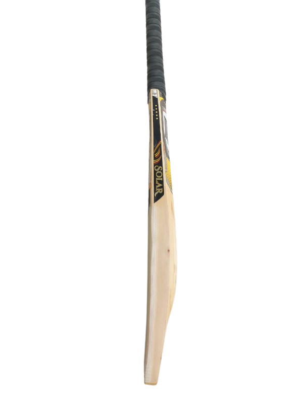 DP Solar 3 Cricket Bat (SH)