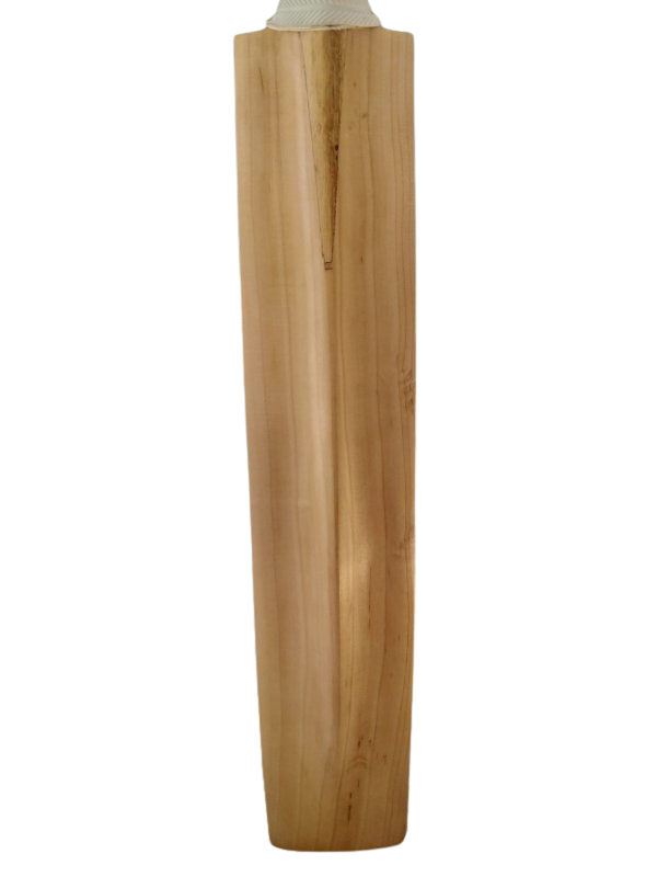 Spartan MC Legacy Limited Cricket Bat (SH)