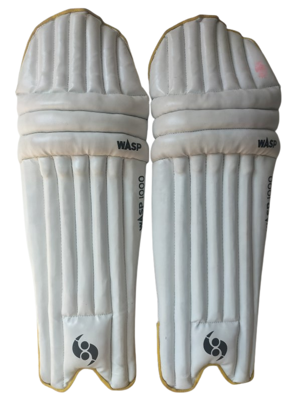 Wasp 1000 Batting Pads (Youth)