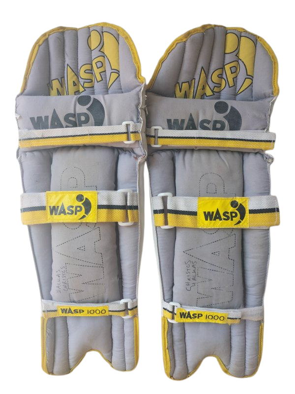 Wasp 1000 Batting Pads (Youth)