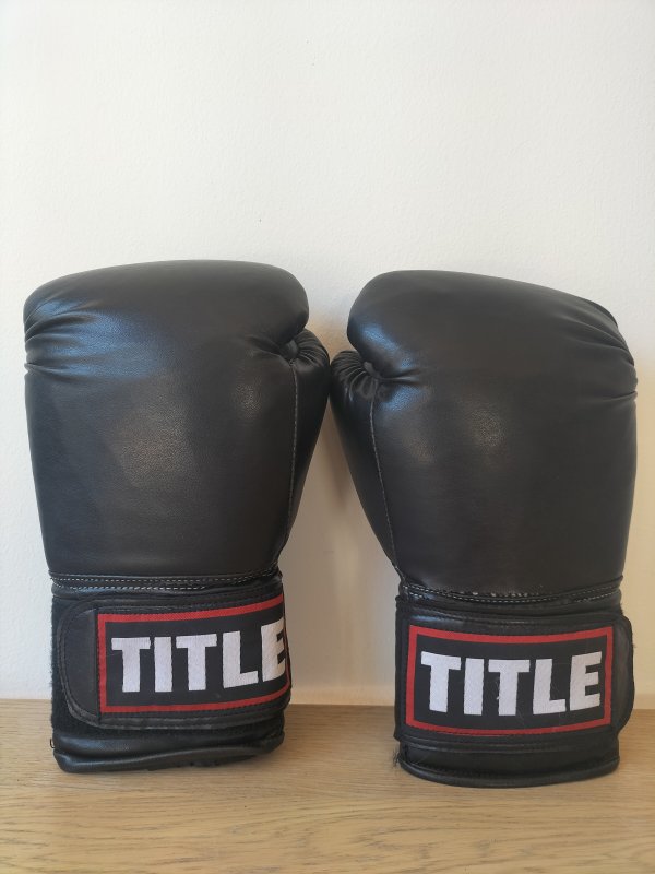 Title Training Gloves