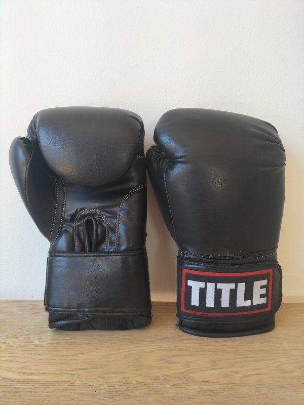 Title Training Gloves