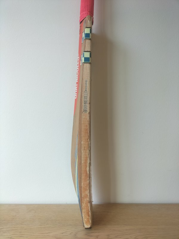 Gray Nicolls Omega XRD Cricket Bat