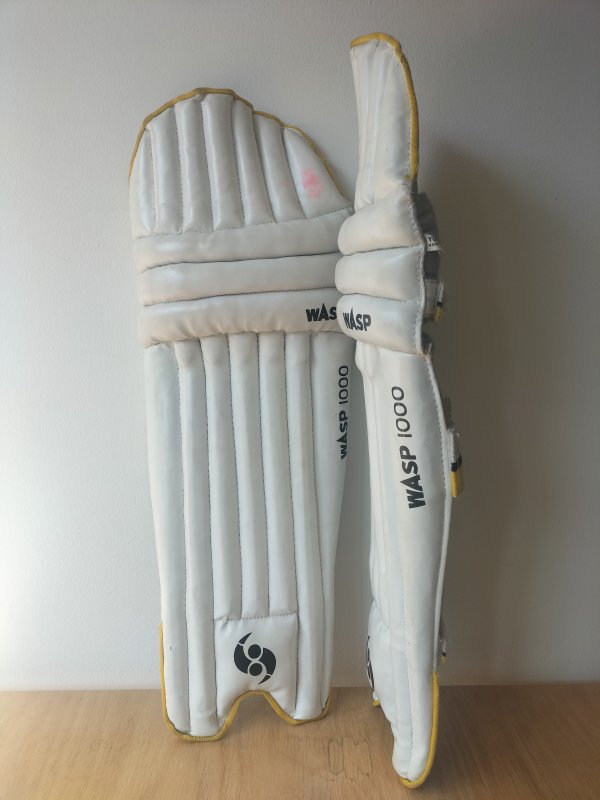 Wasp 1000 Cricket Pads